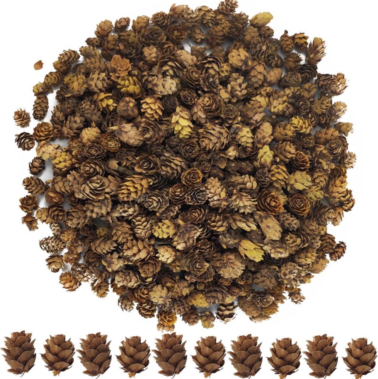 320PCS Natural Mini Pine Cones – 1.18"–1.97" Bulk for DIY Crafts, Home Decoration, Fall, Christmas, and Wedding Decor